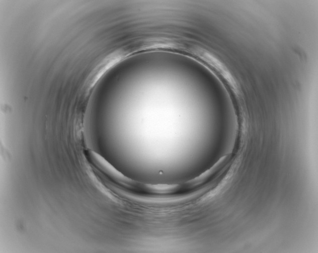 X0000091311377200708101456