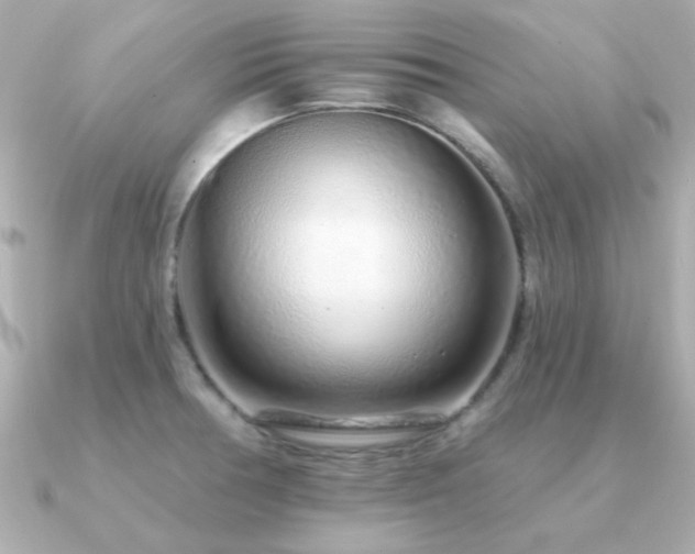 X0000091311378200708101456