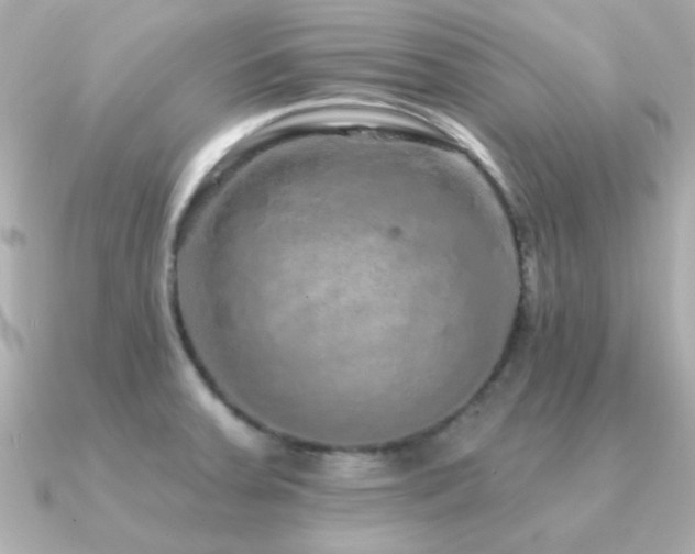 X0000091311379200708101456