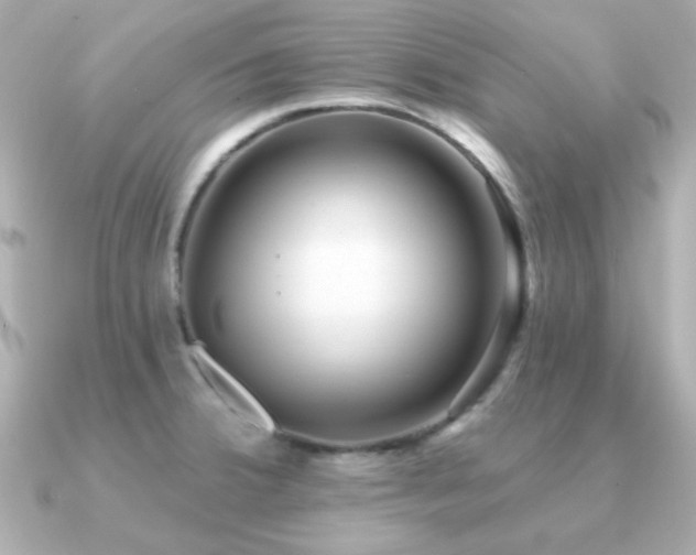 X0000091311380200708101456