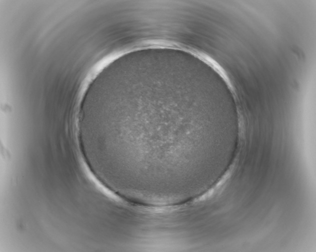 X0000091311381200708101456