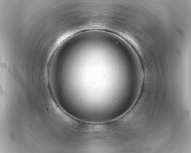 X0000091311382200708101456