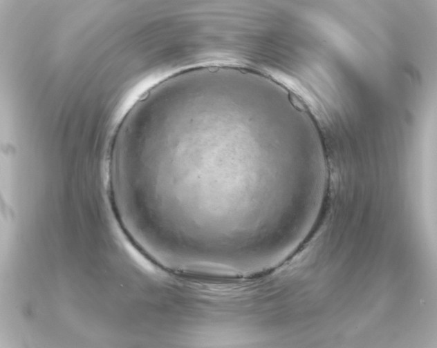 X0000091311383200708101455