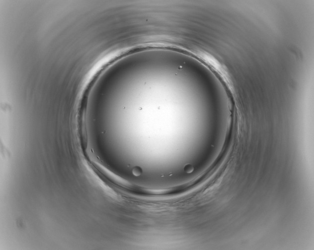 X0000091311384200708101455