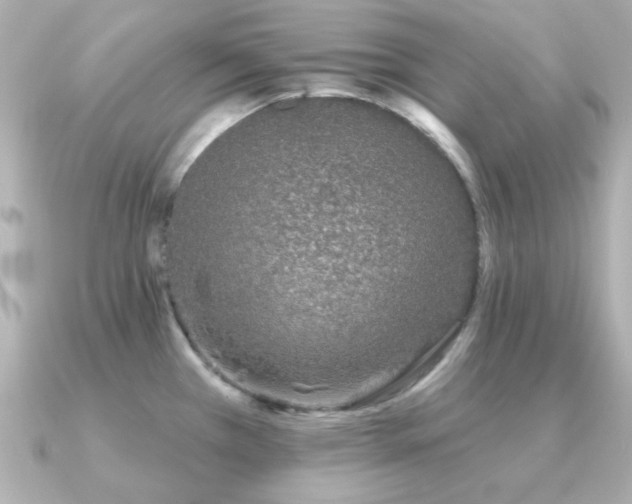 X0000091311385200708101455