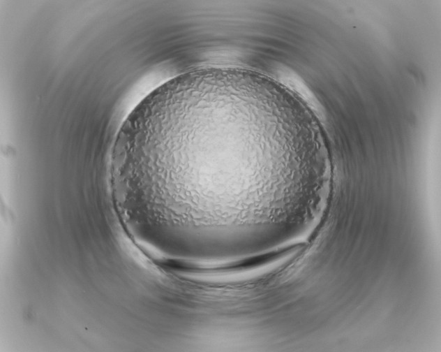 X0000091311386200708101455