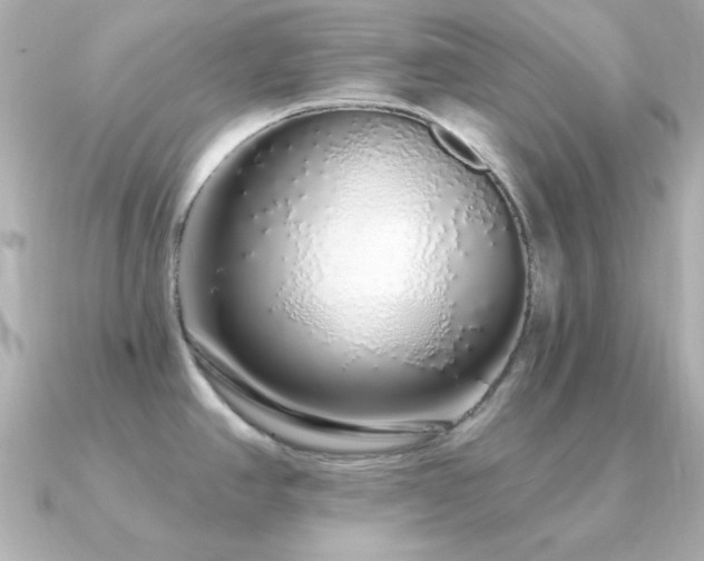 X0000091311390200708101455