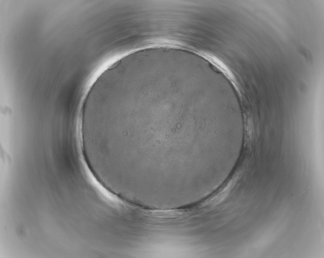 X0000091311391200708101455