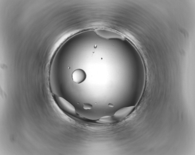 X0000091311392200708101455