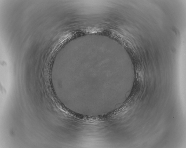 X0000091311393200708101455