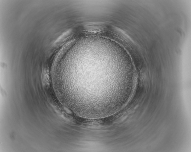 X0000091311394200708101455