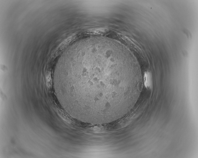 X0000091311395200708101455