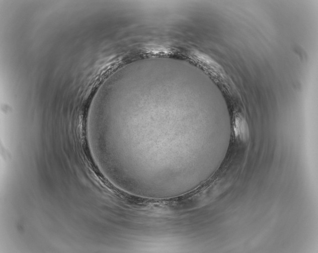 X0000091311396200708101455