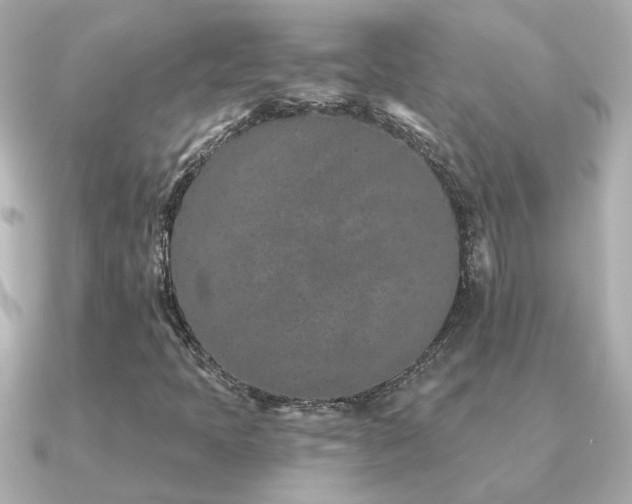 X0000091311397200708101455
