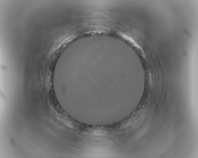 X0000091311399200708101455