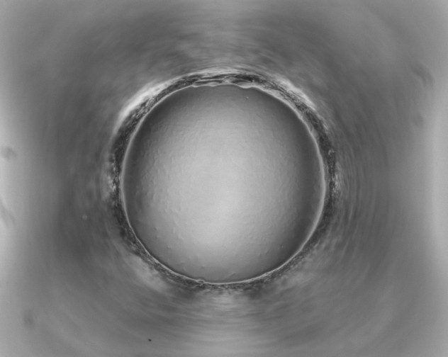 X0000091311400200708101455