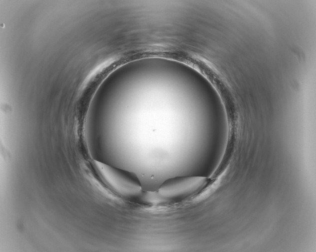 X0000091311402200708101455