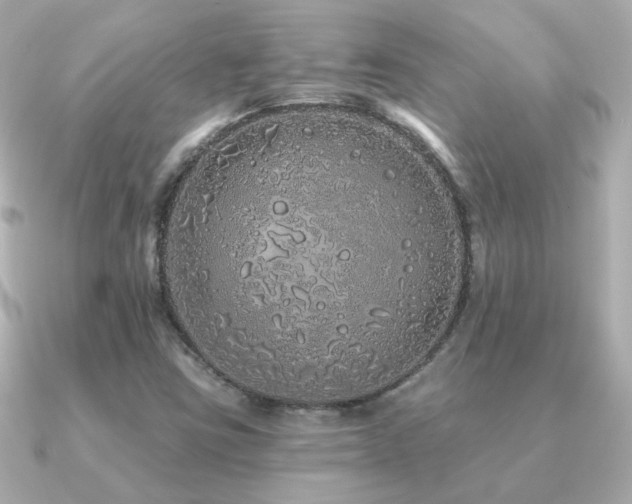 X0000091311403200708101455