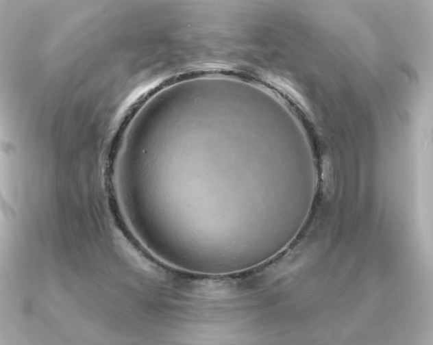 X0000091311404200708101455