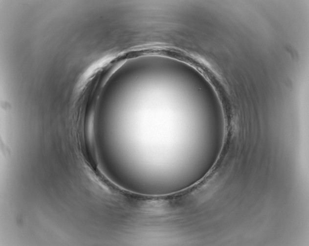 X0000091311406200708101455