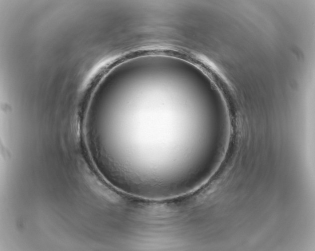 X0000091311408200708101455