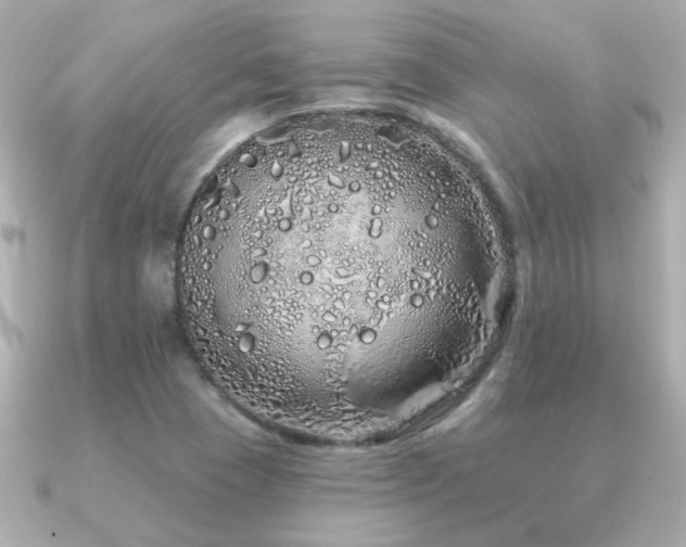 X0000091311409200708101455