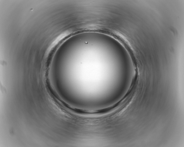 X0000091311410200708101455