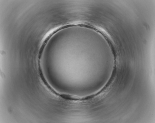 X0000091311412200708101455