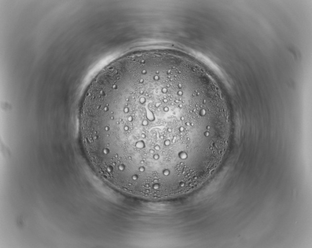 X0000091311413200708101455