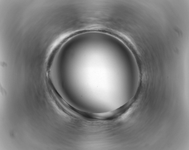 X0000091311414200708101455