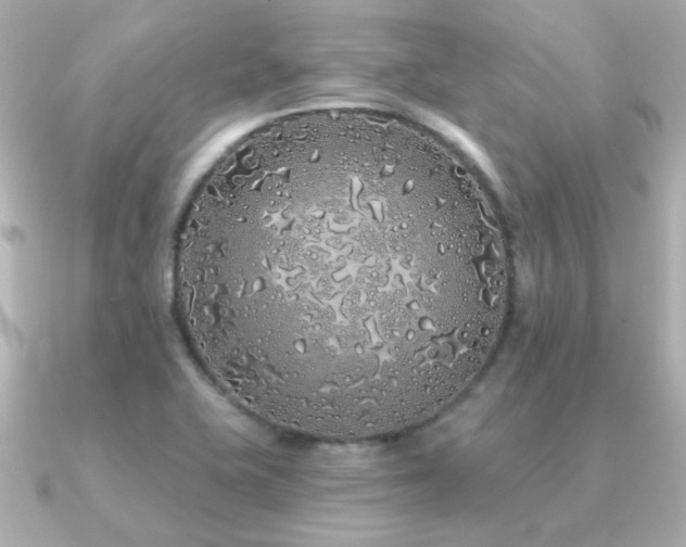 X0000091311415200708101455
