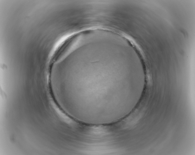 X0000091311416200708101455