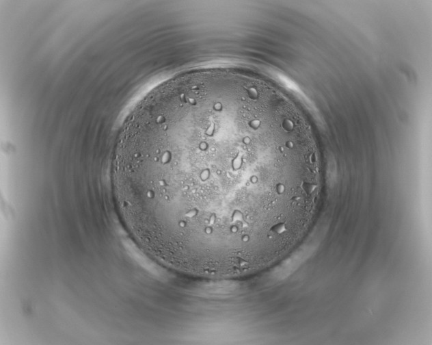 X0000091311417200708101455
