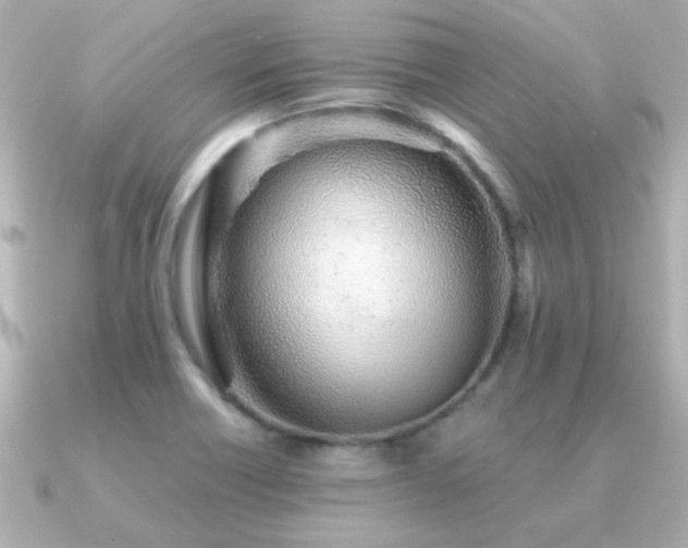 X0000091311418200708101455