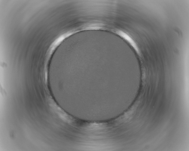 X0000091311419200708101455