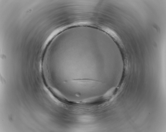 X0000091311420200708101455