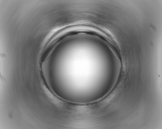 X0000091311422200708101455