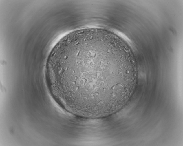 X0000091311423200708101455