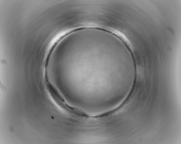 X0000091311424200708101455