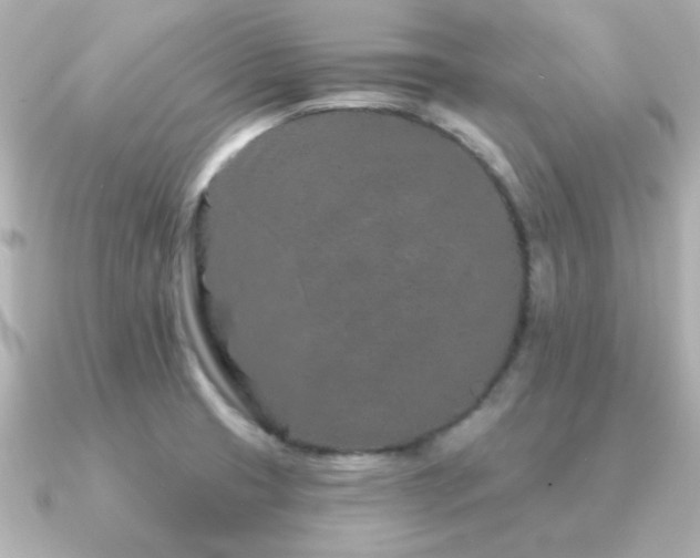X0000091311425200708101455