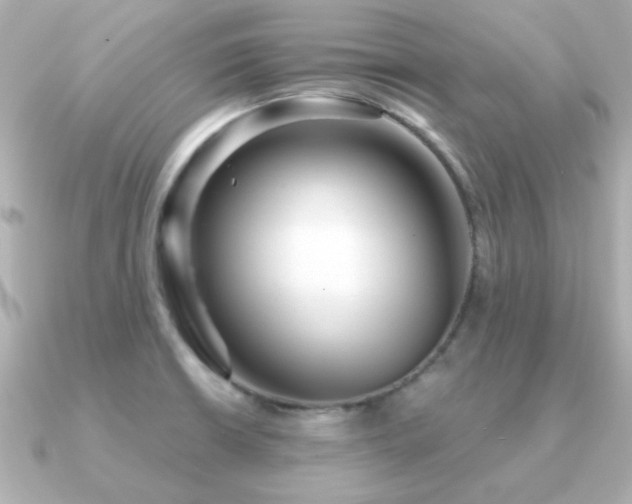 X0000091311426200708101455