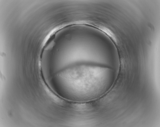 X0000091311428200708101455
