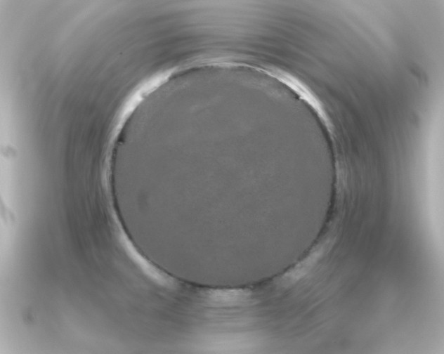 X0000091311429200708101455