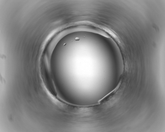 X0000091311430200708101455