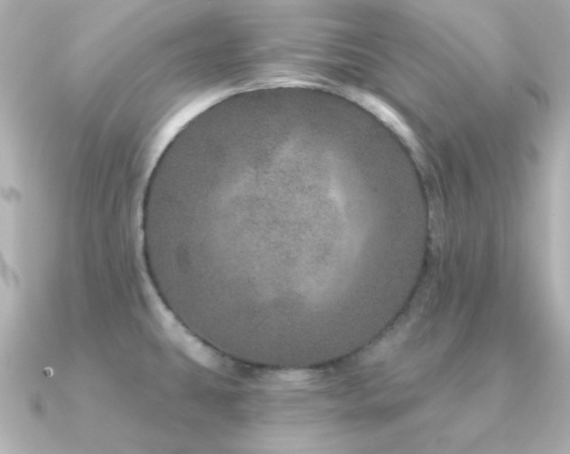 X0000091311431200708101455