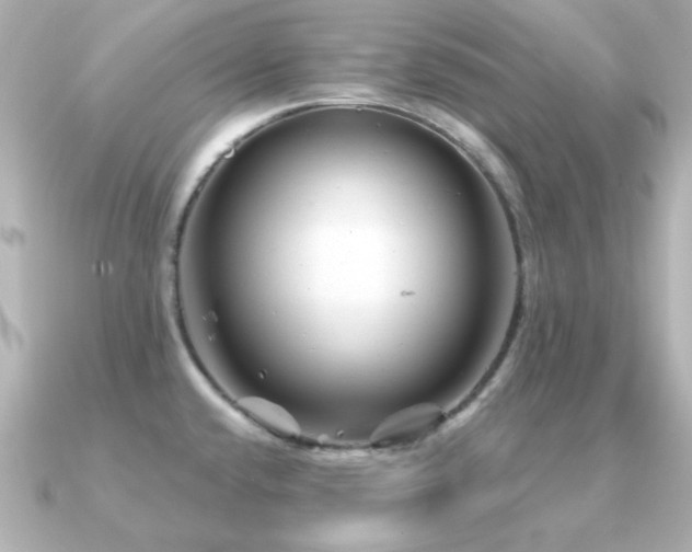 X0000091311432200708101455