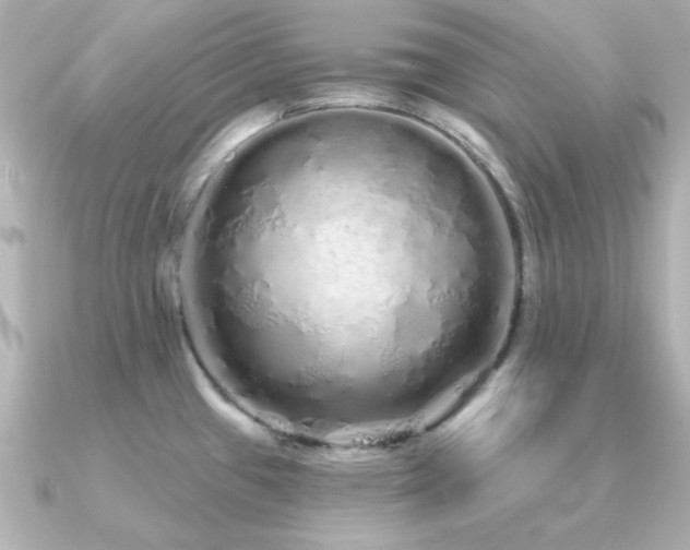 X0000091311433200708101455