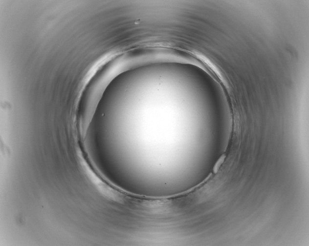 X0000091311434200708101455