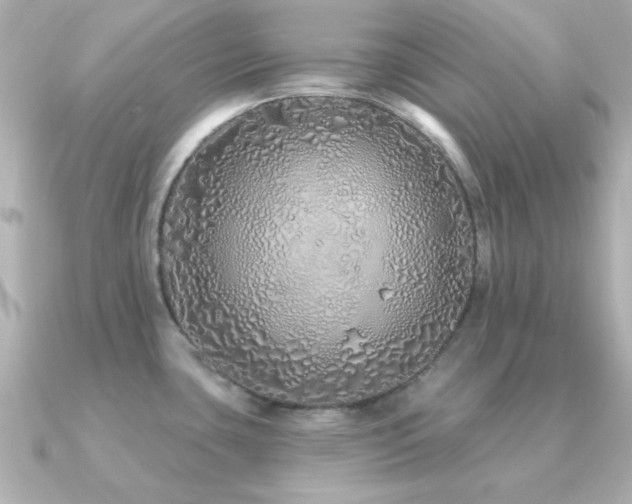 X0000091311435200708101455