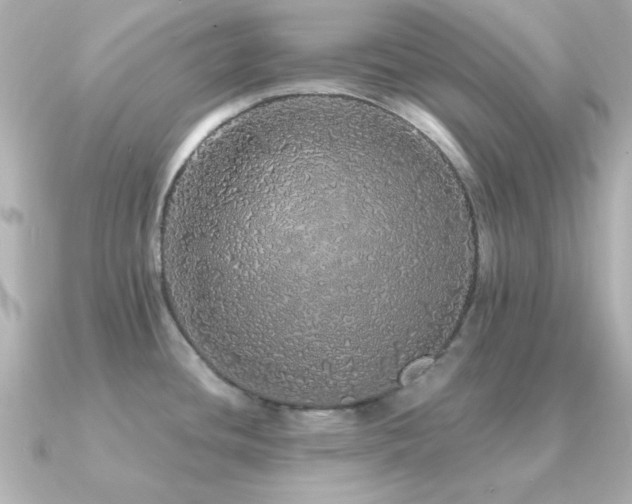 X0000091311436200708101455